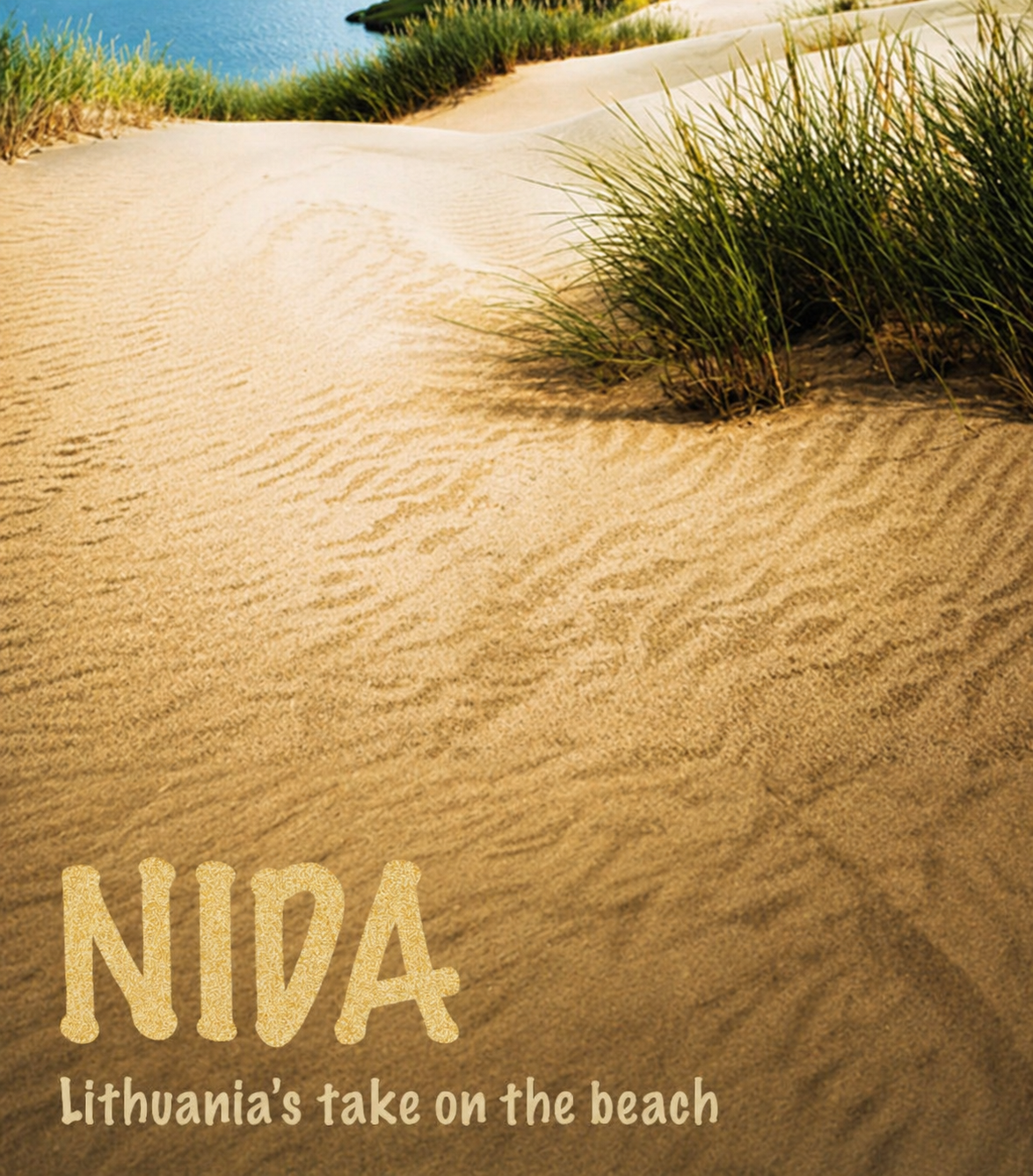 Tour Guide Brochure